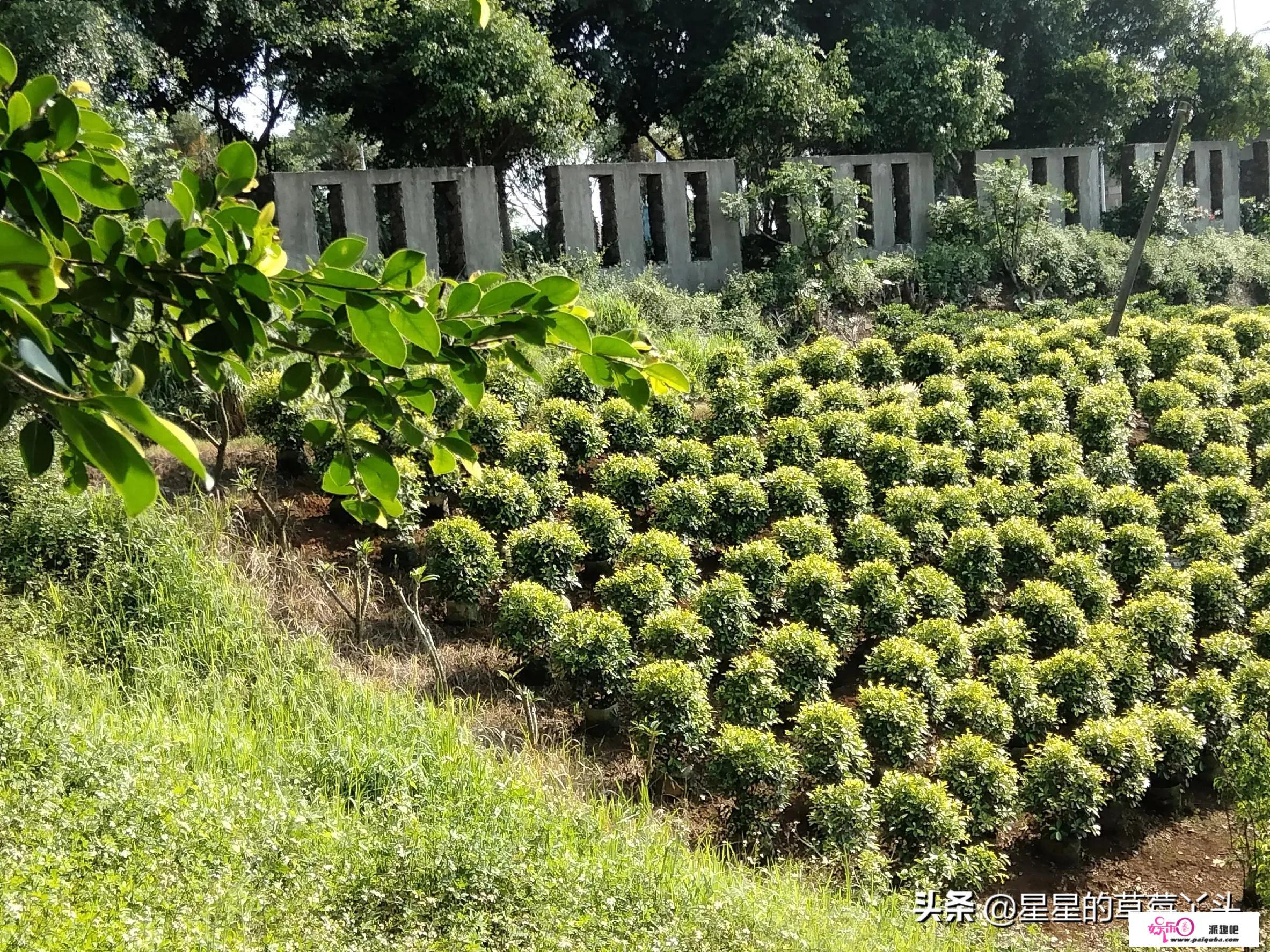 你能想到人性有多邪恶？