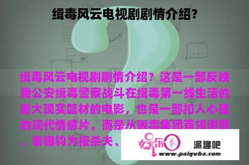 缉毒风云电视剧剧情介绍？