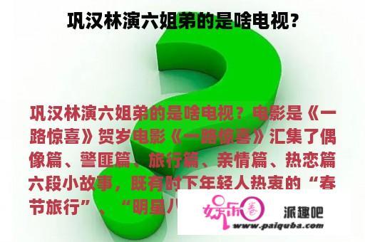 巩汉林演六姐弟的是啥电视？