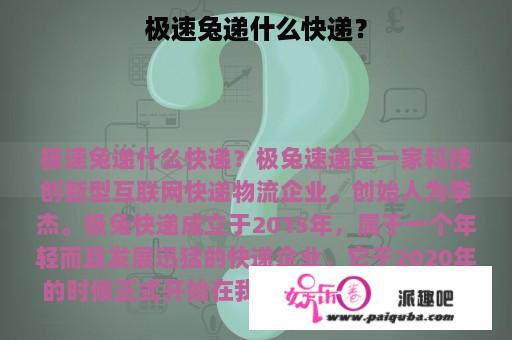 极速兔递什么快递？