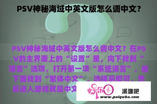 PSV神秘海域中英文版怎么调中文？