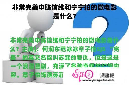 非常完美中陈信维和宁宁拍的微电影是什么？