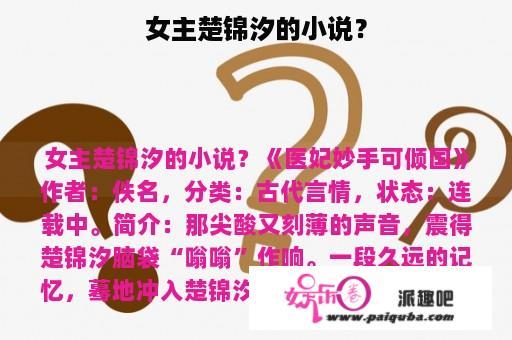 女主楚锦汐的小说？