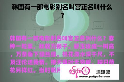 韩国有一部电影别名叫宫正名叫什么？