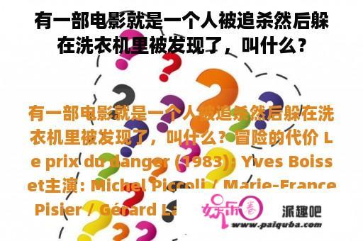 有一部电影就是一个人被追杀然后躲在洗衣机里被发现了，叫什么？