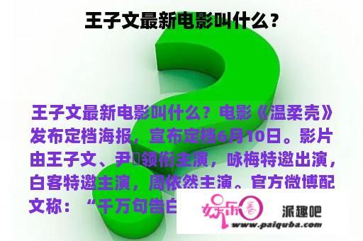 王子文最新电影叫什么？