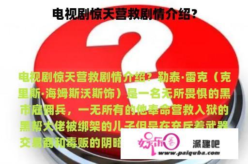 电视剧惊天营救剧情介绍？