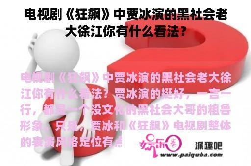 电视剧《狂飙》中贾冰演的黑社会老大徐江你有什么看法？