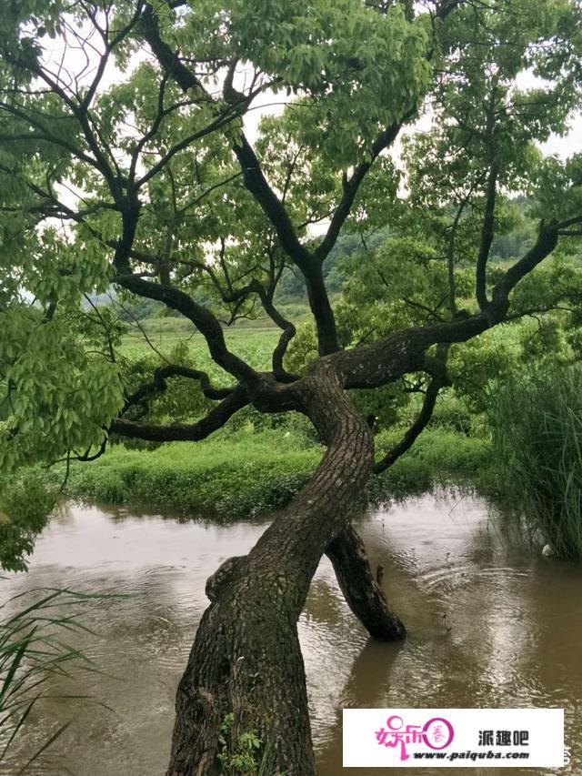 可否还记得你童年的故乡？