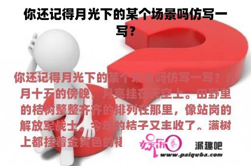 你还记得月光下的某个场景吗仿写一写？