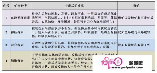 让眼镜蛇都闻风丧胆的非洲“平头哥”有多可怕？