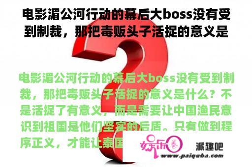 电影湄公河行动的幕后大boss没有受到制裁，那把毒贩头子活捉的意义是什么？