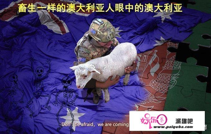 澳大利亚特种兵去阿富汗干什么？