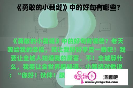 《勇敢的小裁缝》中的好句有哪些？